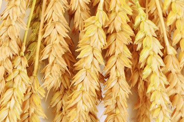 Similar image 10846886