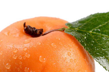 Similar image 10846903