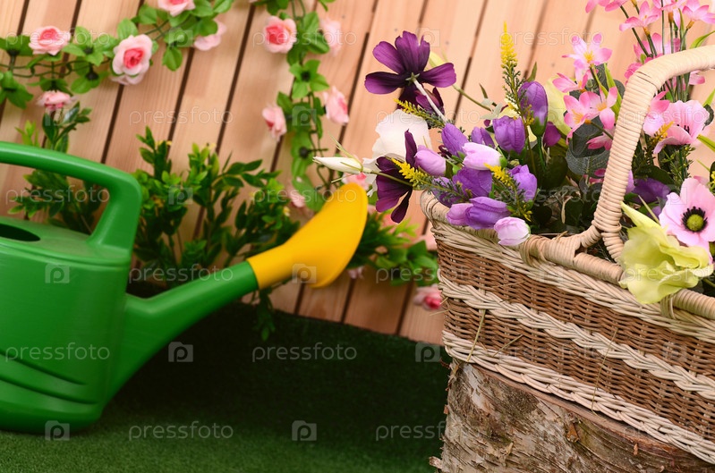 Фотография на тему Лейка и цветы | PressFoto