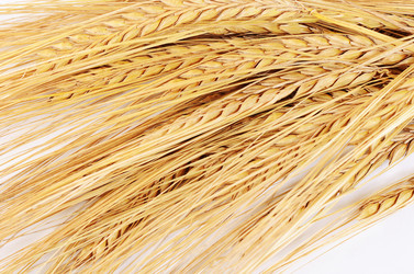 Similar image 10846927