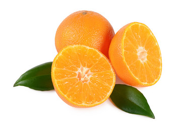 Similar image 10846933