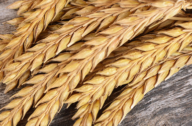 Similar image 10846979