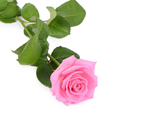 Similar image 10847002