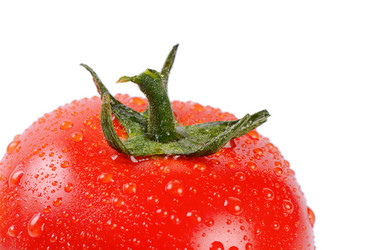 Similar image 10847005