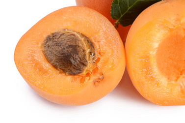 Similar image 10847007