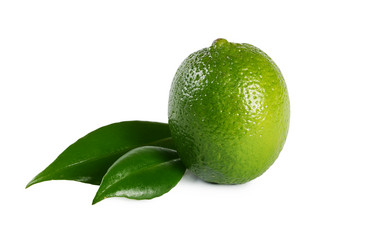 Similar image 10847056