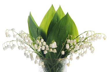 Similar image 10847068