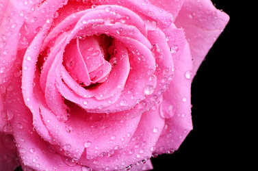 Similar image 10847081