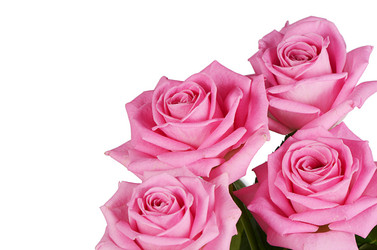 Similar image 10847087