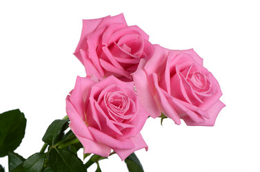 Similar image 10847091