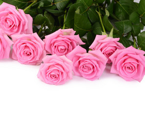 Similar image 10847093