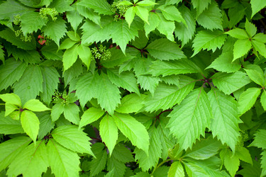 Similar image 10847142