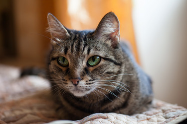 Similar image 10847146