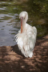 Similar image 10847152