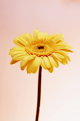 Similar image 10847190