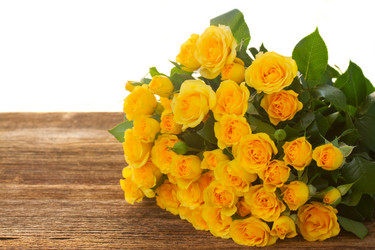 Similar image 10847240