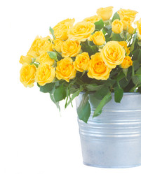 Similar image 10847242