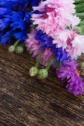 Similar image 10847258