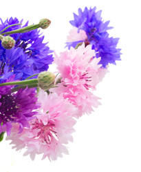 Similar image 10847259