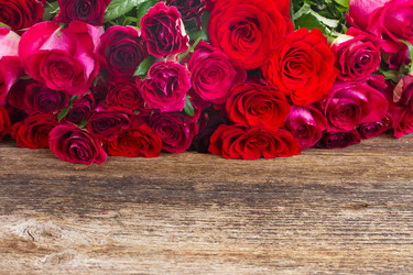 Similar image 10847282