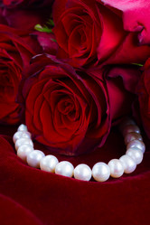 Similar image 10847286