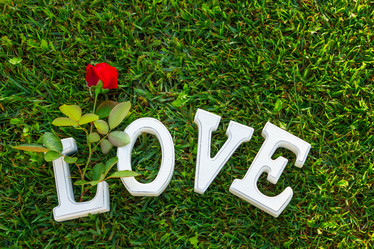 Similar image 10847327