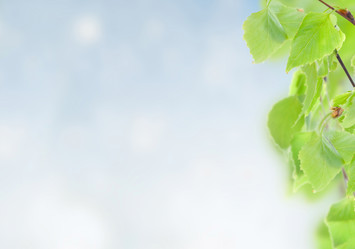 Similar image 10847329