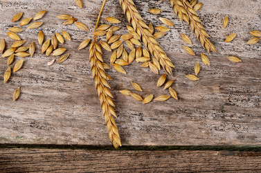 Similar image 10847466