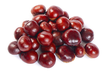 Similar image 10847525