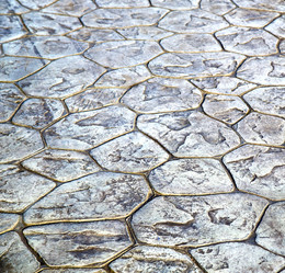 Similar image 10847596