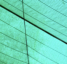 Similar image 10847597