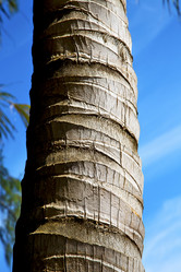 Similar image 10847605