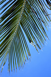 Similar image 10847607