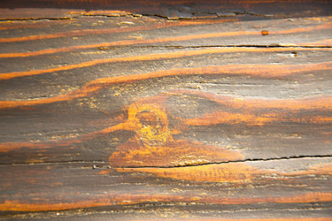 Similar image 10847630