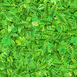 Similar image 10847809