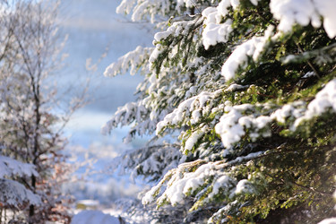 Similar image 10847966