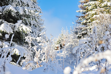 Similar image 10847967