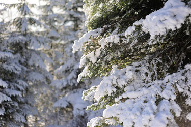 Similar image 10847968