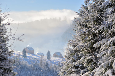 Similar image 10847969