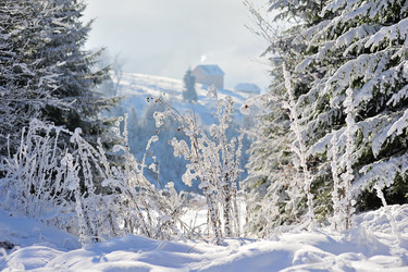 Similar image 10847970