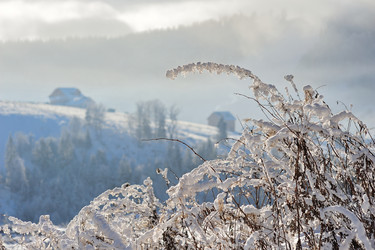 Similar image 10847971