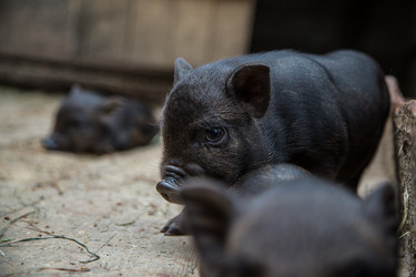 Similar image 10847975