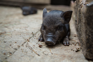 Similar image 10847976