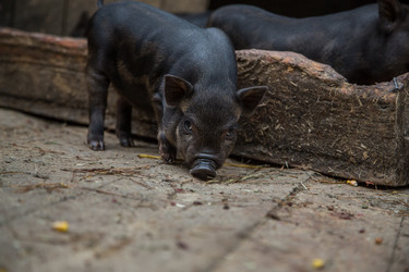 Similar image 10847979