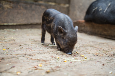 Similar image 10847982