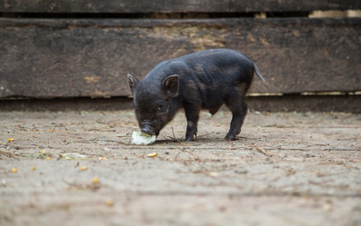 Similar image 10847983