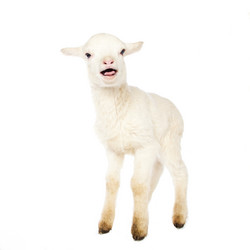 Similar image 10848029