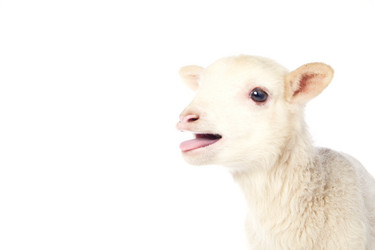 Similar image 10848030