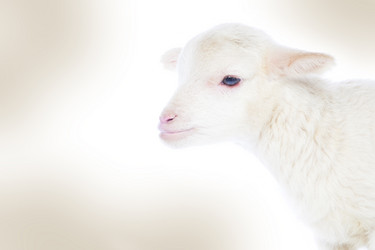 Similar image 10848032