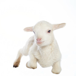 Similar image 10848035